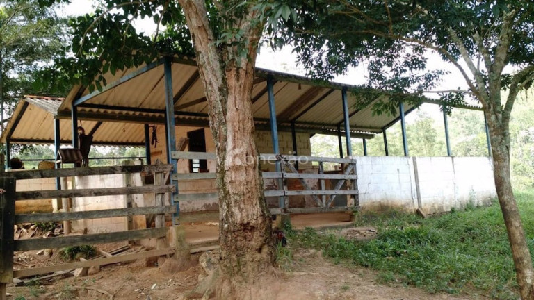Imagem Fazenda à Venda, 500 m² em Pernambucana - Paraibuna Imagem Fazenda à Venda, 500 m² em Pernambucana - Paraibuna