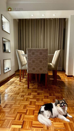 Imagem Apartamento com 3 Quartos à Venda, 73 m² em Vila Santa Catarina - São Paulo