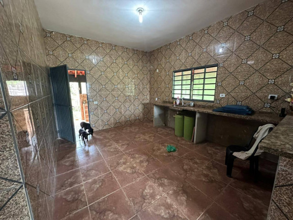 Imagem Chácara à Venda, 5.000 m² em Santa Maria - Trindade Imagem Chácara à Venda, 5.000 m² em Santa Maria - Trindade
