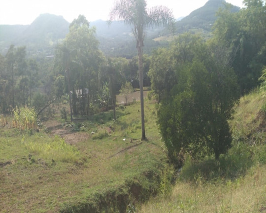 Imagem Imóvel com 2 Quartos à Venda, em Vila Rica - Feliz Imagem Imóvel com 2 Quartos à Venda, em Vila Rica - Feliz