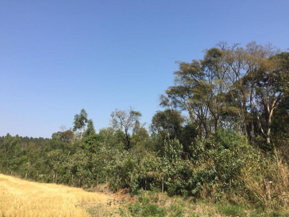 Imagem Chácara à Venda, 20.000 m² em Ponte Alta - Avaré