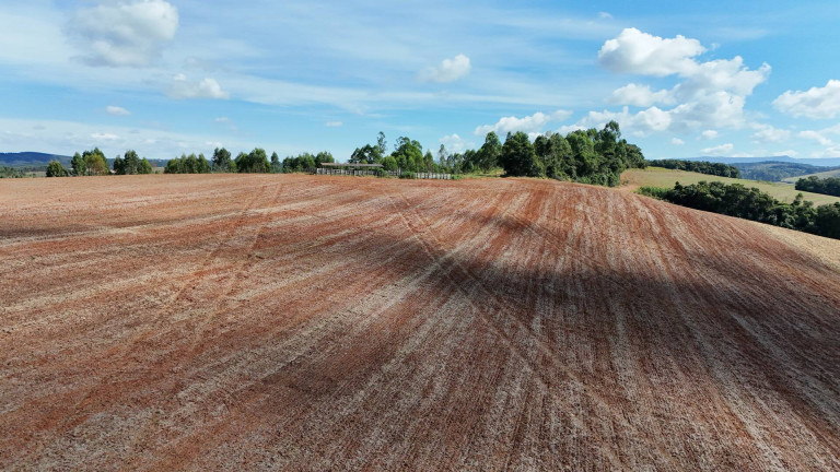 Imagem Fazenda à Venda, 700 m² em São Vicente De Minas Imagem Fazenda à Venda, 700 m² em São Vicente De Minas