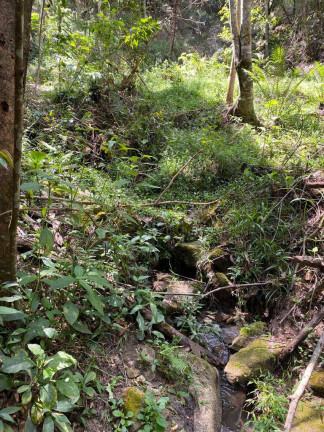 Imagem Terreno à Venda, 3 m² em Santa Terezinha De Minas - Itatiaiuçu Imagem Terreno à Venda, 3 m² em Santa Terezinha De Minas - Itatiaiuçu