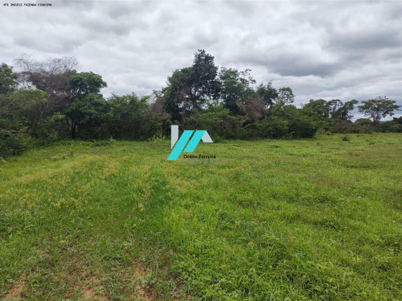 Imagem Fazenda à Venda, 82 m² em Zona Rural - Santo Hipólito Imagem Fazenda à Venda, 82 m² em Zona Rural - Santo Hipólito