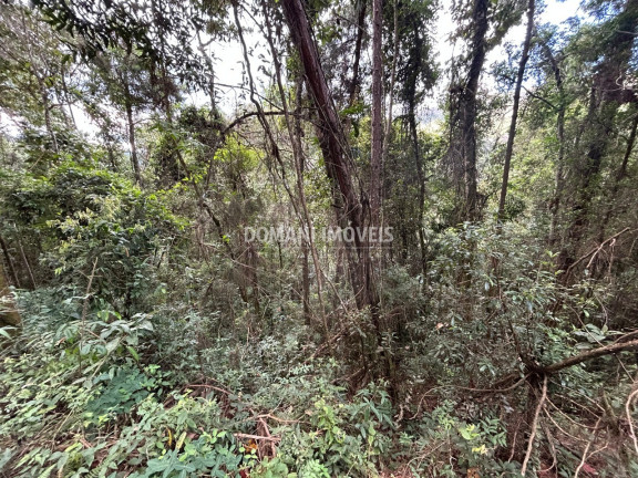 Imagem Terreno à Venda, 5.820 m² em Região Do Parque Da água Santa - Campos Do Jordão Imagem Terreno à Venda, 5.820 m² em Região Do Parque Da água Santa - Campos Do Jordão