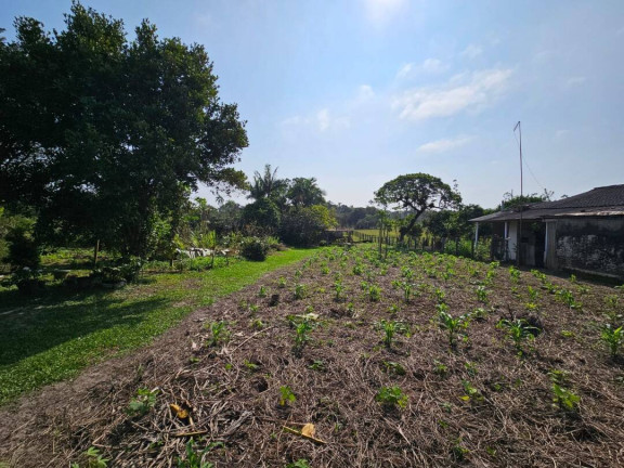 Imagem Casa com 4 Quartos à Venda, 320 m² em Pinheiros - Balneário Barra Do Sul Imagem Casa com 4 Quartos à Venda, 320 m² em Pinheiros - Balneário Barra Do Sul