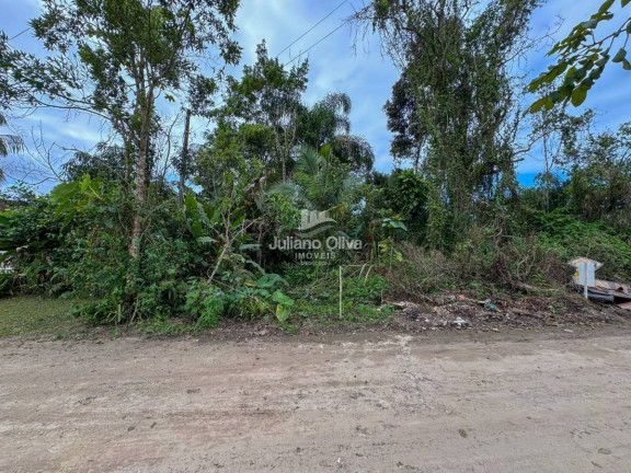 Imagem Terreno à Venda, 360 m² em Barra Do Sai - Itapoá