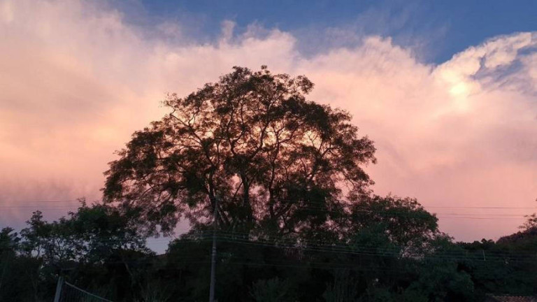 Imagem Terreno em Condomínio à Venda, 3.203 m² em Parque Primavera - Carapicuíba