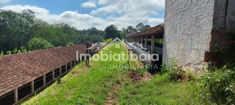 Imagem Fazenda à Venda, 312.000 m² em Centro - Santa Isabel
