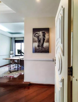 Imagem Imóvel com 3 Quartos à Venda, 232 m² em Vila Suzana - São Paulo