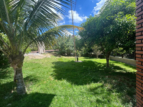 Imagem Chácara com 8 Quartos à Venda, 2 m² em Vila Ipê Amarelo - Contagem Imagem Chácara com 8 Quartos à Venda, 2 m² em Vila Ipê Amarelo - Contagem
