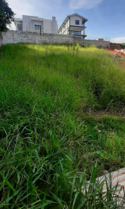 Imagem Terreno em Condomínio à Venda, 530 m² em Condomínio Residencial Campos Do Conde - Bragança Paulista Imagem Terreno em Condomínio à Venda, 530 m² em Condomínio Residencial Campos Do Conde - Bragança Paulista