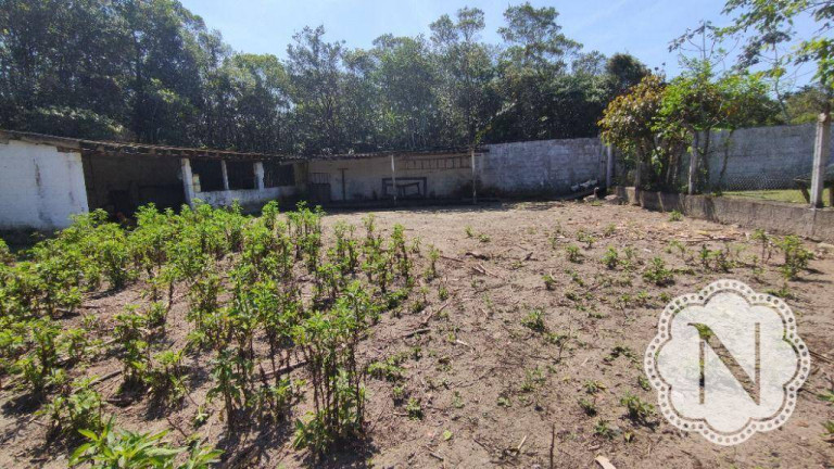 Imagem Chácara com 3 Quartos à Venda, 294 m² em Jardim São Fernando - Itanhaém Imagem Chácara com 3 Quartos à Venda, 294 m² em Jardim São Fernando - Itanhaém