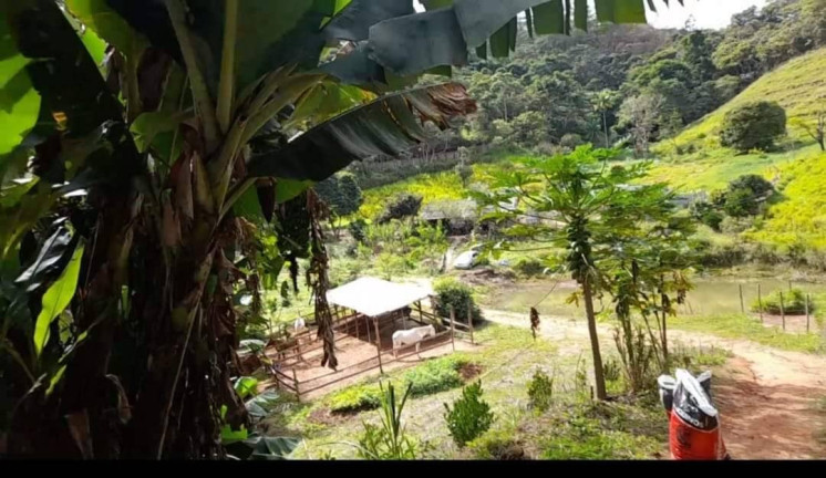 Chácara com 2 Quartos à Venda, 116 m² em Conselheiro Paulino - Nova Friburgo