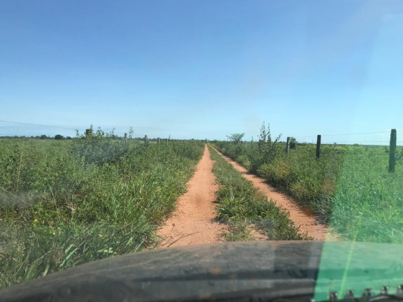 Imagem Imóvel à Venda,  em Juarina/to - Juarina