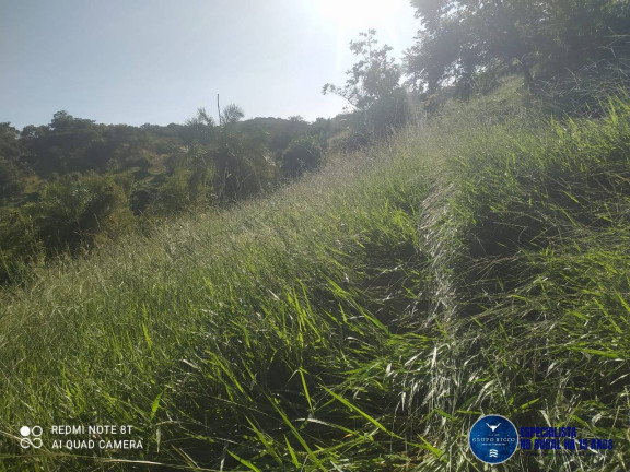 Imagem Chácara à Venda, 14 m² em Zona Rural - Itapuranga Imagem Chácara à Venda, 14 m² em Zona Rural - Itapuranga