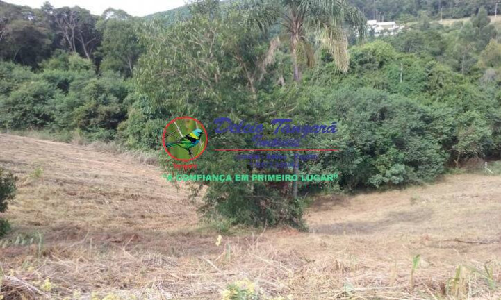 Imagem Terreno à Venda, 5 m² em Parque Da Fazenda - Itatiba Imagem Terreno à Venda, 5 m² em Parque Da Fazenda - Itatiba