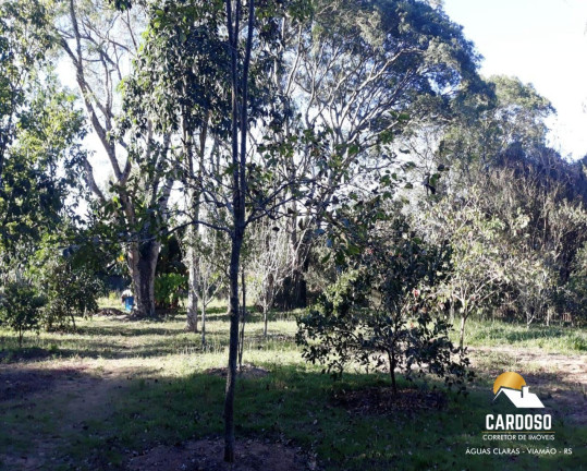 Imagem Imóvel com 1 Quarto à Venda, 12.000 m² em águas Claras - Viamão