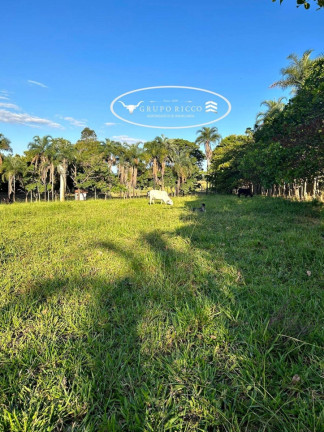 Imagem Chácara com 2 Quartos à Venda, 38 m² em Zona Rural - Guapó Imagem Chácara com 2 Quartos à Venda, 38 m² em Zona Rural - Guapó