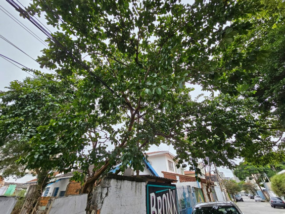 Imagem Casa com 1 Quarto à Venda, 242 m² em Brooklin - São Paulo Imagem Casa com 1 Quarto à Venda, 242 m² em Brooklin - São Paulo