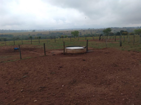 Fazenda à Venda, 730 m² em Rural - Corguinho