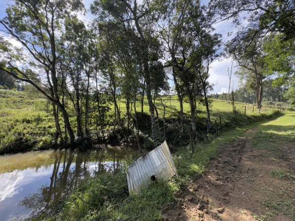 Imagem Imóvel com 5 Quartos à Venda, 18.150 m² em Lagoa Dos Ferreiras - Mandirituba Imagem Imóvel com 5 Quartos à Venda, 18.150 m² em Lagoa Dos Ferreiras - Mandirituba