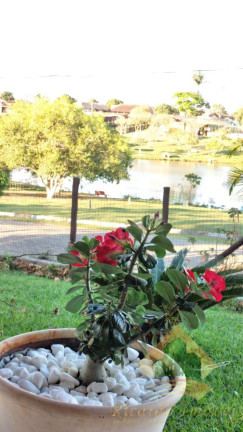 Imagem Chácara com 4 Quartos à Venda, 1.020 m² em Terras De Santa Rosa - Salto