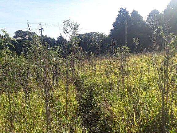 Imagem Terreno à Venda, 28.000 m² em Ortizes - Piedade Imagem Terreno à Venda, 28.000 m² em Ortizes - Piedade