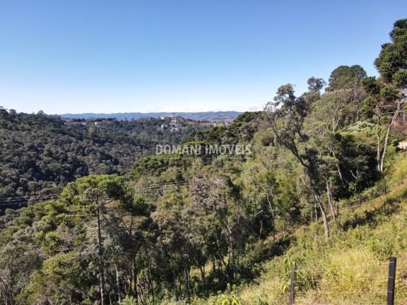 Terreno à Venda, 2.080 m² em Região Do Atalaia - Campos Do Jordão
