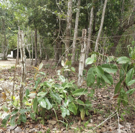 Imagem Terreno à Venda, 2 m² em Aldeia Dos Camarás - Camaragibe Imagem Terreno à Venda, 2 m² em Aldeia Dos Camarás - Camaragibe