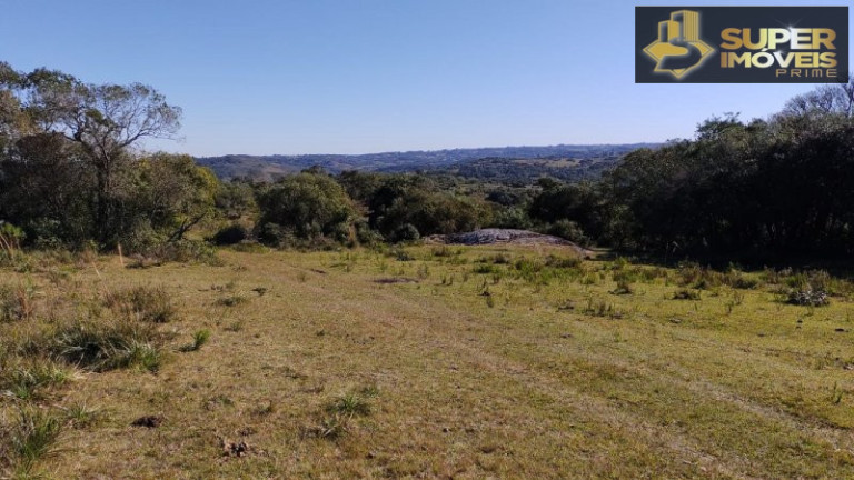 Imagem Imóvel com 4 Quartos à Venda, 2.600.000 m² em Centro - Canguçu