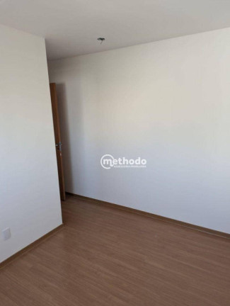 Imagem Apartamento com 2 Quartos à Venda, 54 m² em Jardim Nova Europa - Campinas Imagem Apartamento com 2 Quartos à Venda, 54 m² em Jardim Nova Europa - Campinas