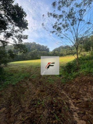Imagem Chácara com 2 Quartos à Venda, 347.875 m² em Centro - Guaraqueçaba Imagem Chácara com 2 Quartos à Venda, 347.875 m² em Centro - Guaraqueçaba