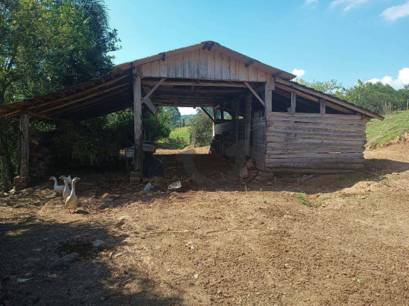 Imagem Chácara à Venda, 110 m² em Linha Travessa - Santa Cruz Do Sul Imagem Chácara à Venda, 110 m² em Linha Travessa - Santa Cruz Do Sul