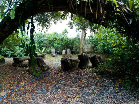 Imagem Imóvel com 3 Quartos à Venda, em Lagoa Da Conceição - Florianópolis Imagem Imóvel com 3 Quartos à Venda, em Lagoa Da Conceição - Florianópolis