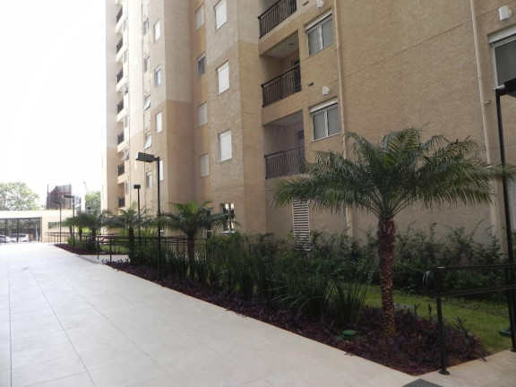 Imagem Apartamento com 2 Quartos para Alugar, 56 m² em Planalto - São Bernardo Do Campo Imagem Apartamento com 2 Quartos para Alugar, 56 m² em Planalto - São Bernardo Do Campo