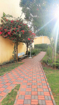Imagem Casa com 2 Quartos para Alugar, 70 m² em Chácara Canta Galo - Cotia Imagem Casa com 2 Quartos para Alugar, 70 m² em Chácara Canta Galo - Cotia