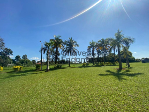 Imagem Chácara à Venda, 2.000 m² em Chácara Recreio Nova Gran Ville - Birigui Imagem Chácara à Venda, 2.000 m² em Chácara Recreio Nova Gran Ville - Birigui