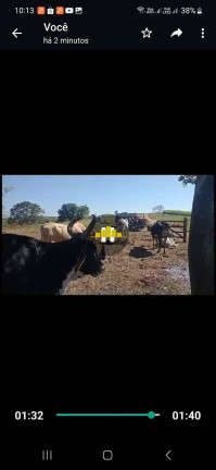 Imagem Fazenda à Venda, 67 m² em Rural - Itapetininga Imagem Fazenda à Venda, 67 m² em Rural - Itapetininga