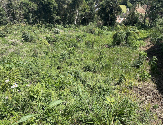 Imagem Terreno à Venda, 1.200 m² em Campos Do Jordão Imagem Terreno à Venda, 1.200 m² em Campos Do Jordão