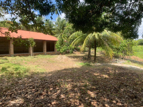 Imagem Casa com 3 Quartos à Venda, 270 m² em Olho Dagua - Eusébio
