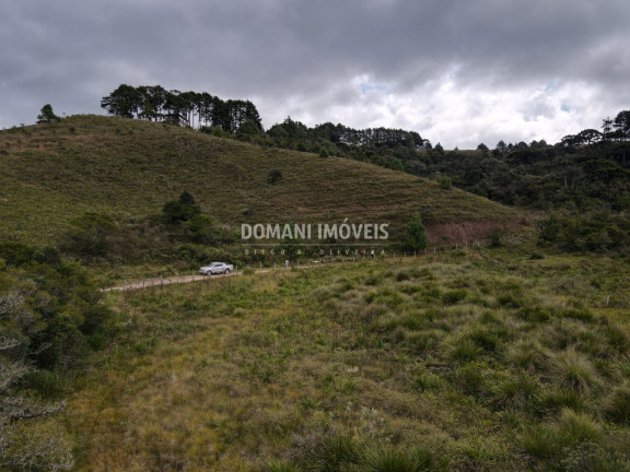 Imagem Terreno à Venda, 7.500 m² em Região Do Parque Da Ferradura - Campos Do Jordão Imagem Terreno à Venda, 7.500 m² em Região Do Parque Da Ferradura - Campos Do Jordão