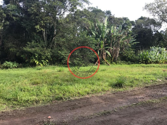Imagem Terreno à Venda, 500 m² em Boiçucanga - São Sebastião Imagem Terreno à Venda, 500 m² em Boiçucanga - São Sebastião