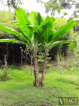 Imagem Chácara com 2 Quartos à Venda, 11 m² em Angola - Santa Branca Imagem Chácara com 2 Quartos à Venda, 11 m² em Angola - Santa Branca