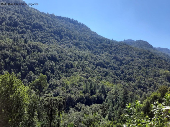 Imagem Imóvel com 2 Quartos à Venda, 130 m² em Linha Pirajá Baixa - Nova Petrópolis Imagem Imóvel com 2 Quartos à Venda, 130 m² em Linha Pirajá Baixa - Nova Petrópolis