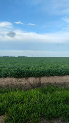 Imagem Chácara à Venda, 194 m² em águas Claras - Viamão