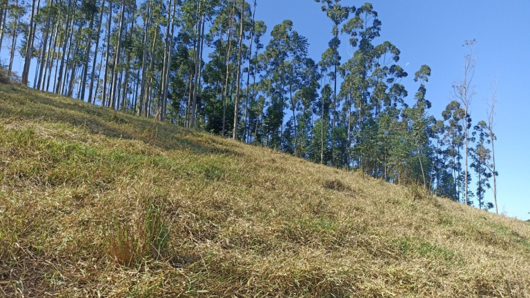 Imagem Chácara com 2 Quartos à Venda, 100 m² em Centro - Paraibuna