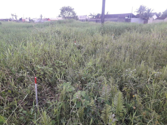 Imagem Terreno à Venda, 376 m² em Estância Balneária De Itanhaém - Itanhaém Imagem Terreno à Venda, 376 m² em Estância Balneária De Itanhaém - Itanhaém