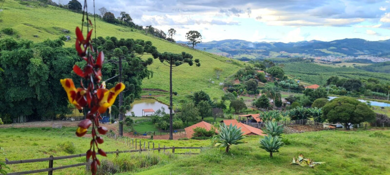 Imagem Chácara com 3 Quartos à Venda, 24.000 m² em Pedra Bela Imagem Chácara com 3 Quartos à Venda, 24.000 m² em Pedra Bela