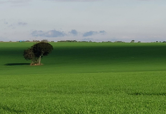 Imagem Fazenda à Venda, 2.178 m² em Rural - Itaí